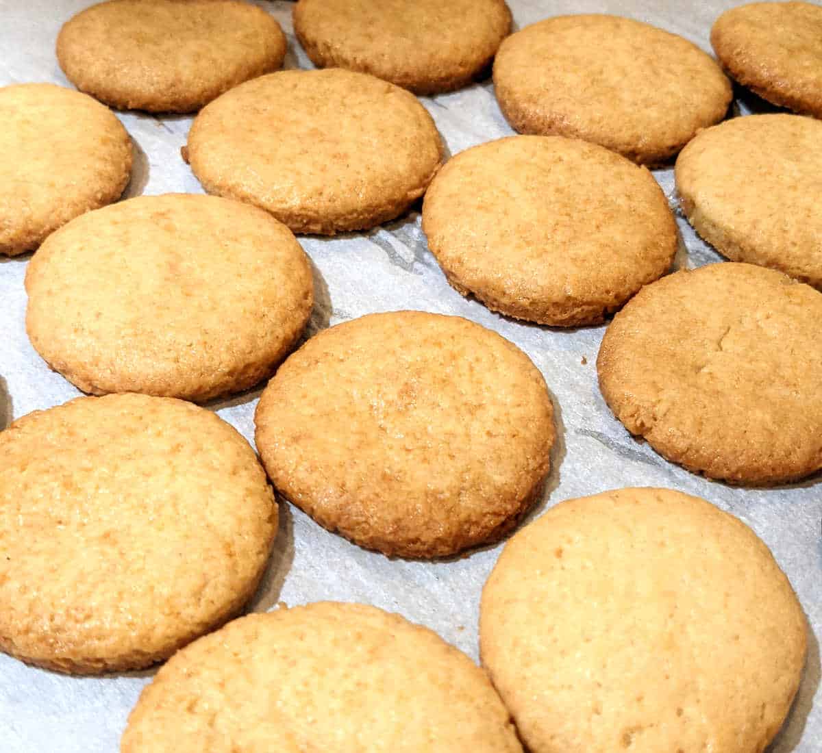 recipes for biscuits without butter
