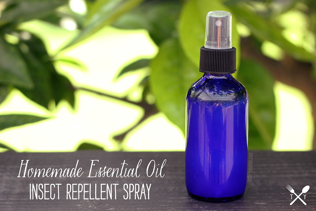 peppermint oil bug spray recipe