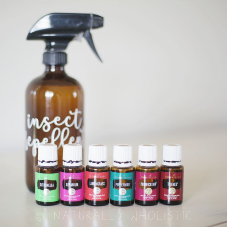 peppermint oil bug spray recipe