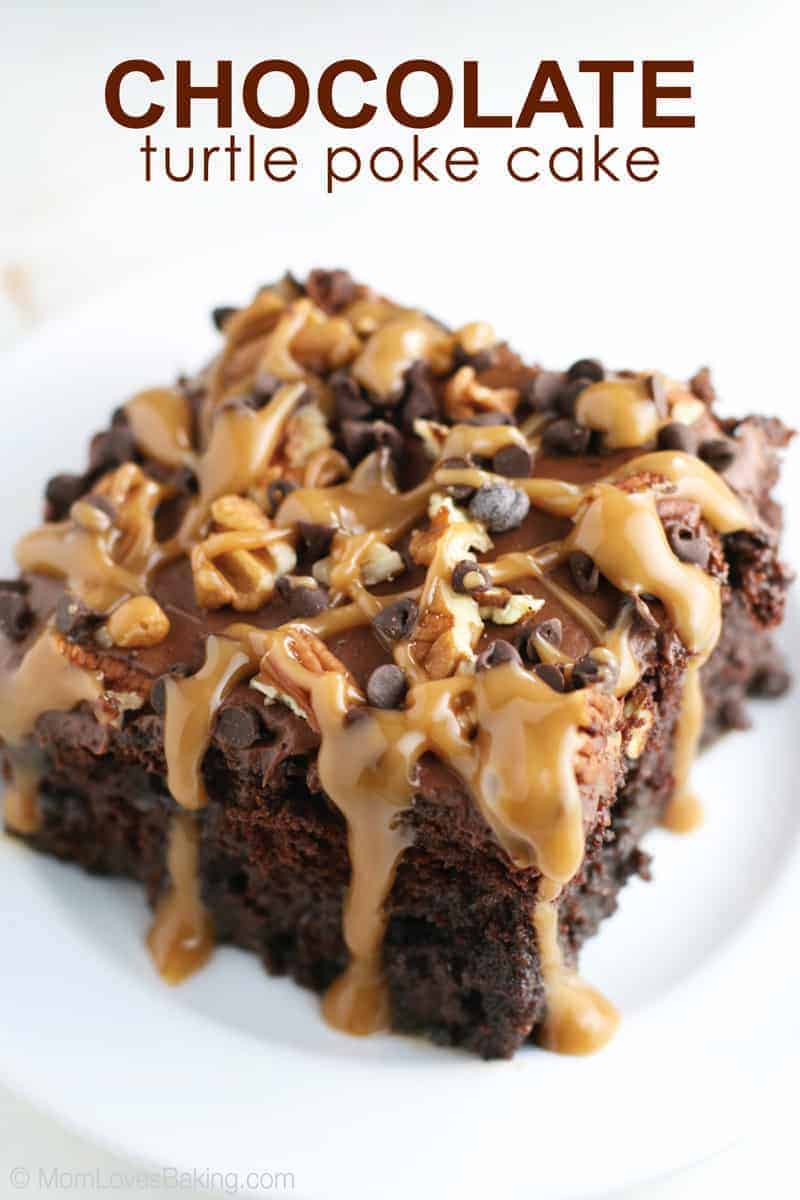 turtle cake recipe with cake mix