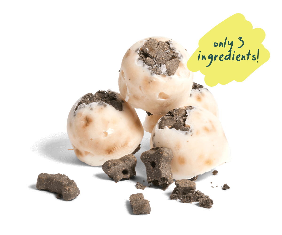 woof pupsicle recipes