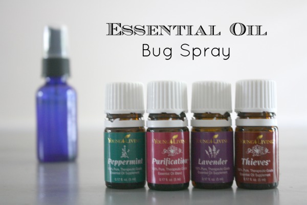 peppermint oil bug spray recipe