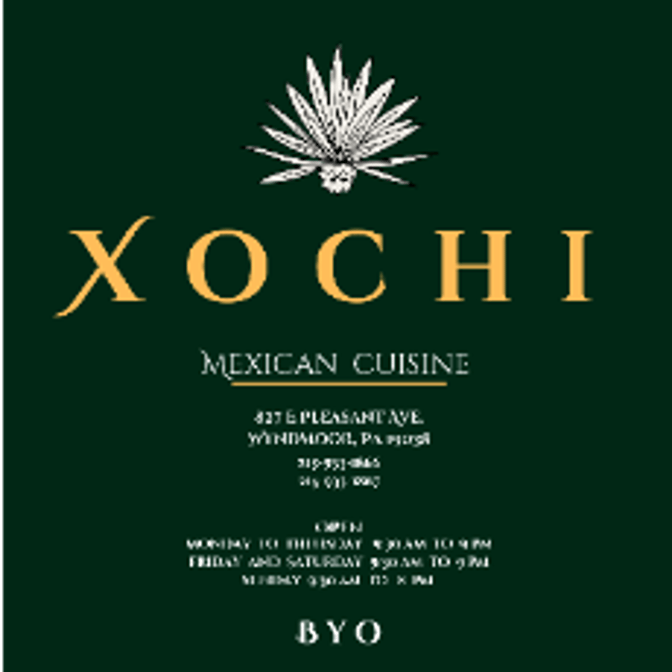 xochi mexican cuisine wyndmoor menu