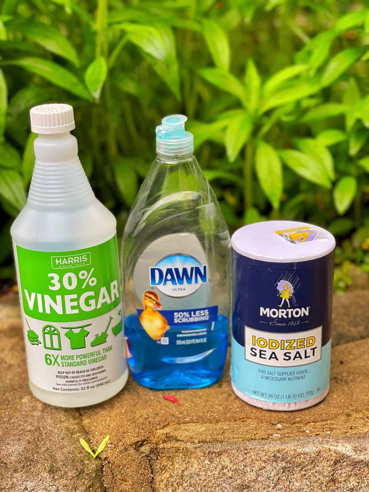 vinegar dawn killer recipe