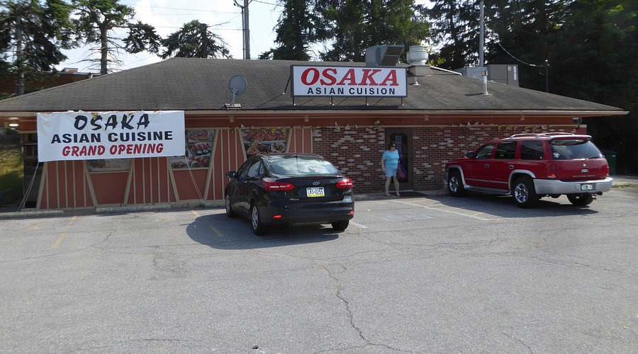osaka asian cuisine