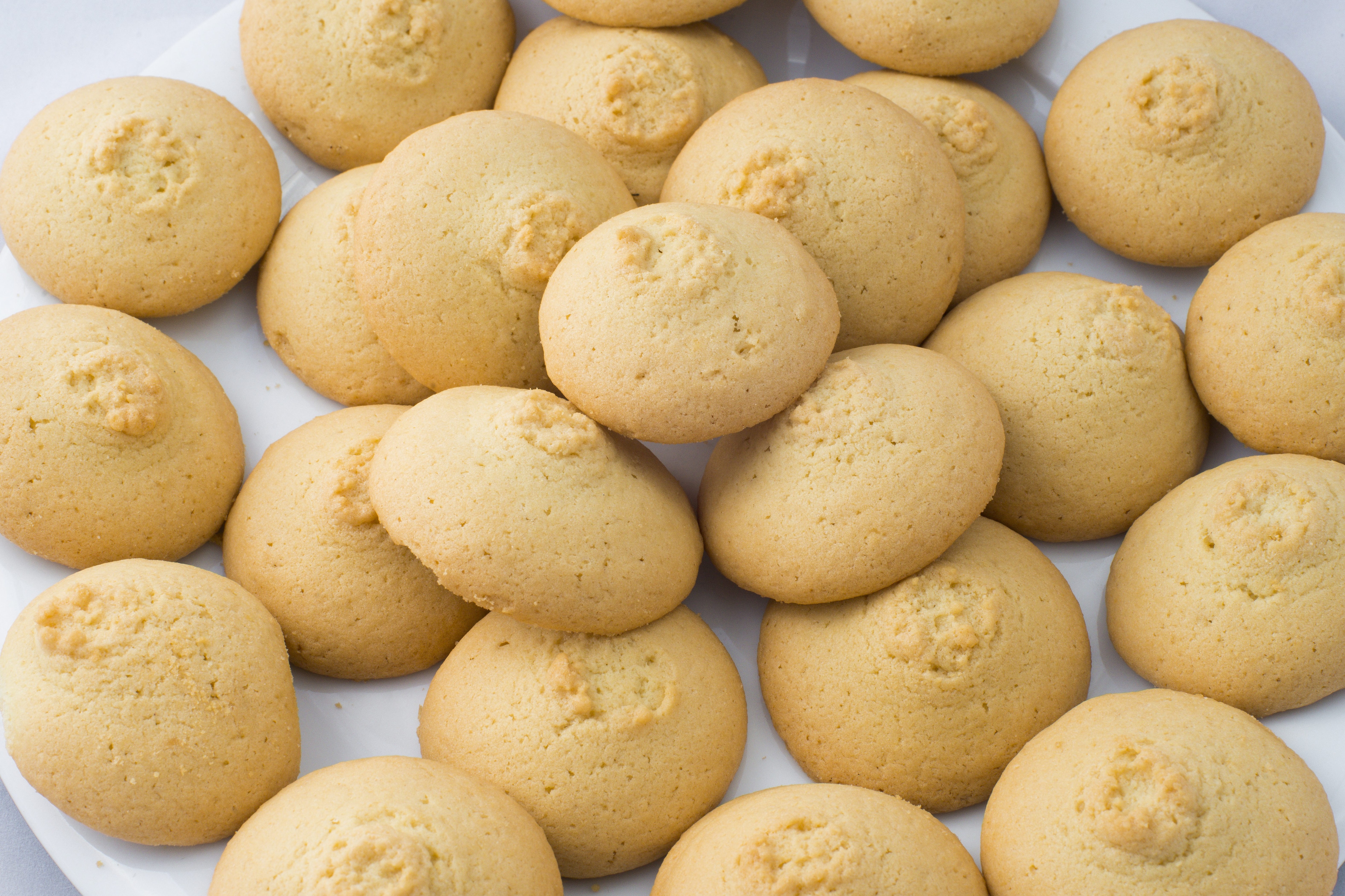 recipes for biscuits without butter