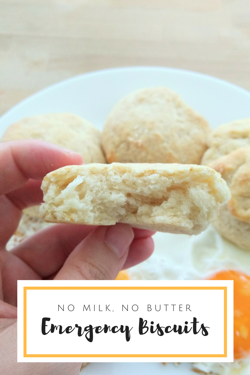 recipes for biscuits without butter