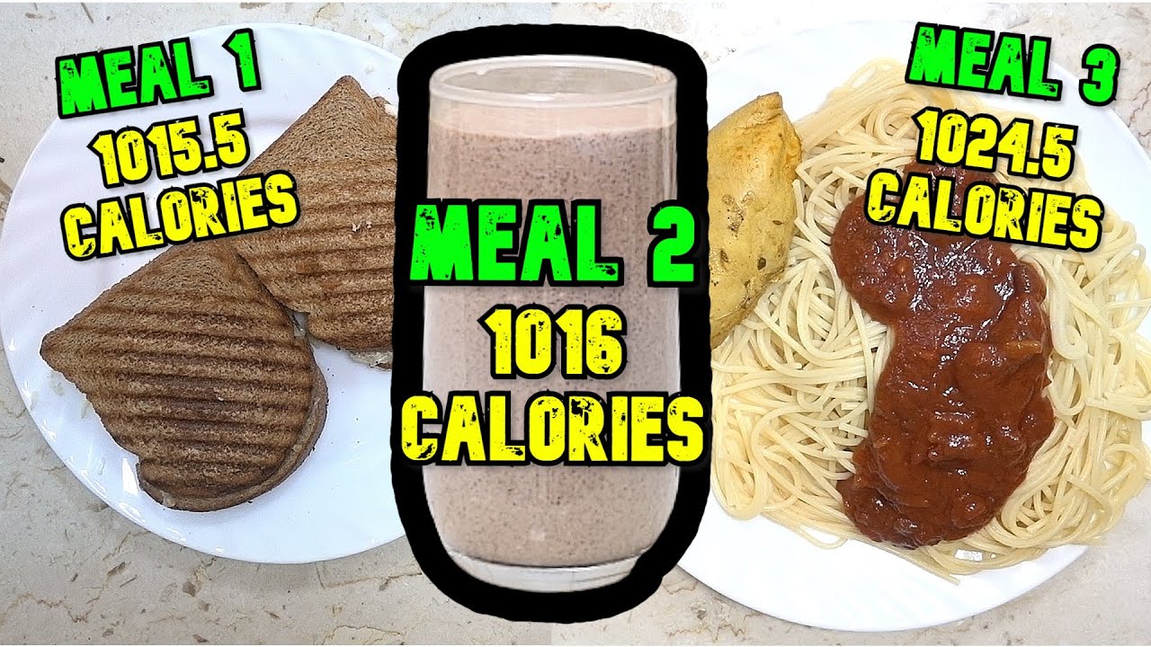 what does 1000 calorie meal look like