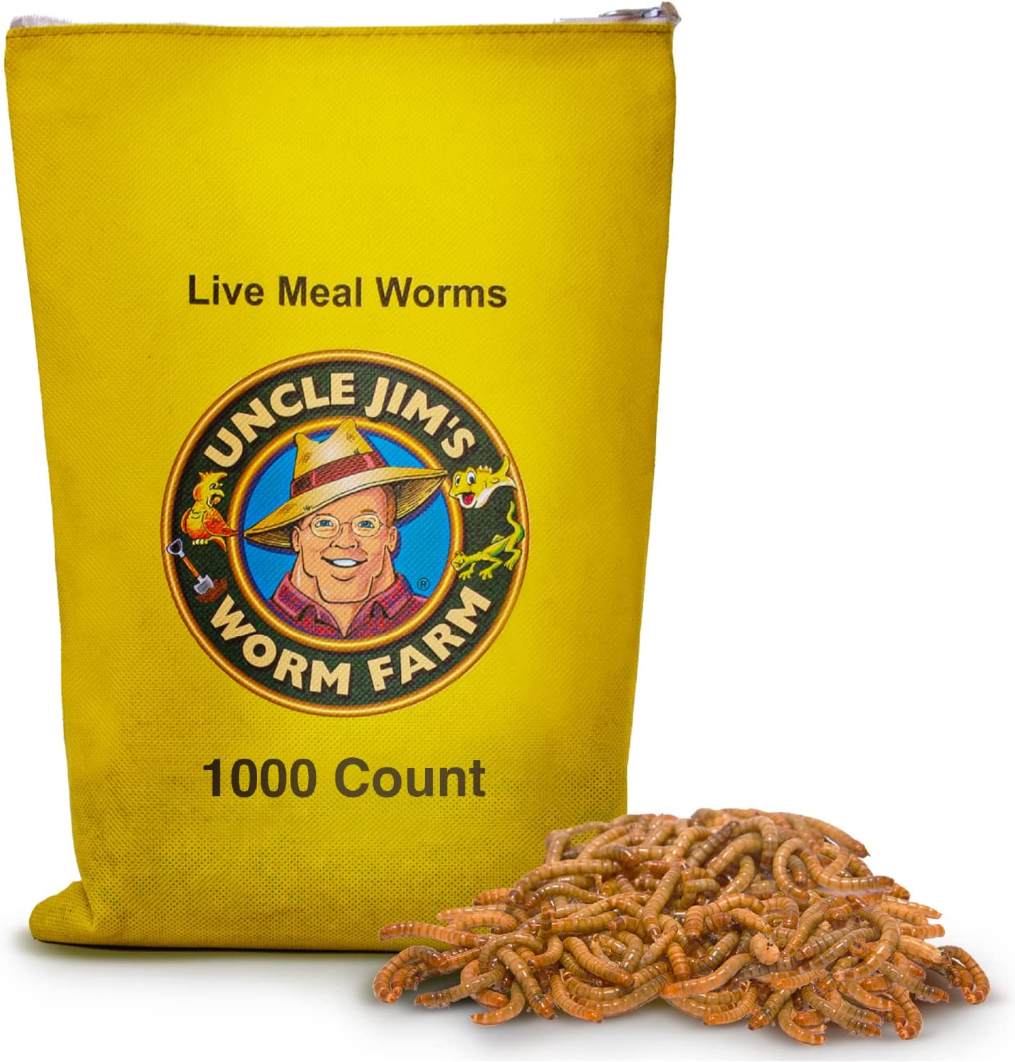 where to buy meal worms