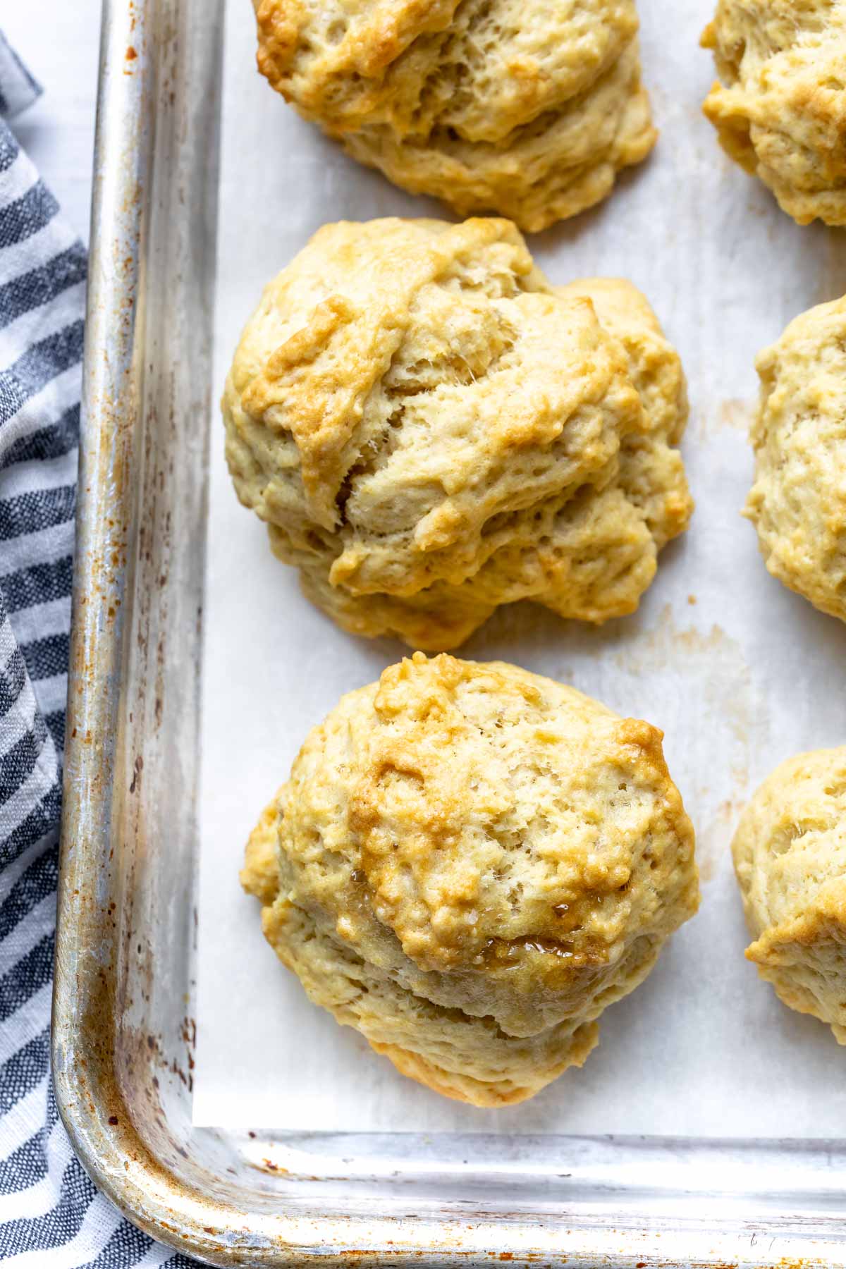 recipes for biscuits without butter