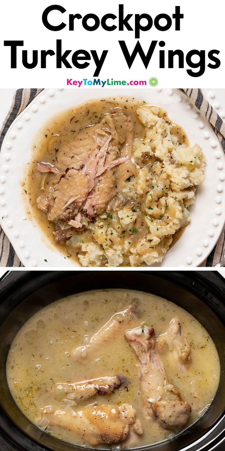 turkey wing recipes slow cooker