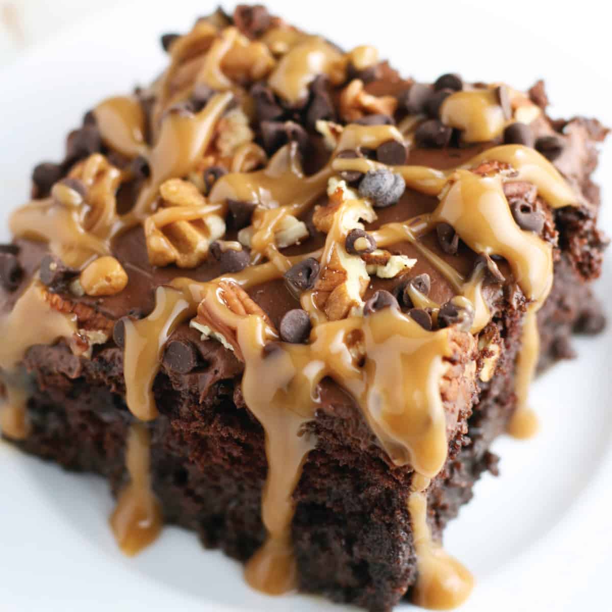 turtle cake recipe with cake mix