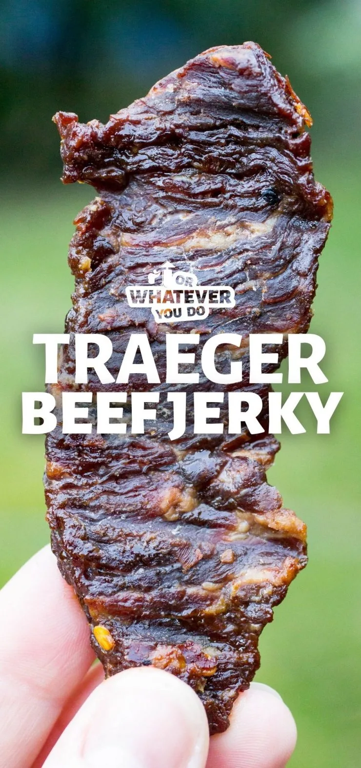 beef jerky smoker recipe