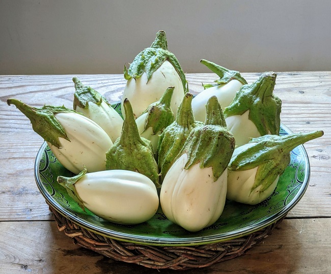 white eggplant recipe
