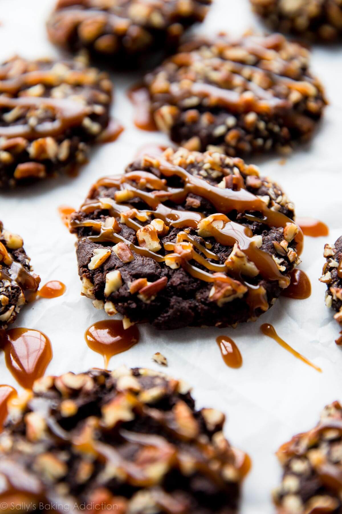 turtle cookie recipe