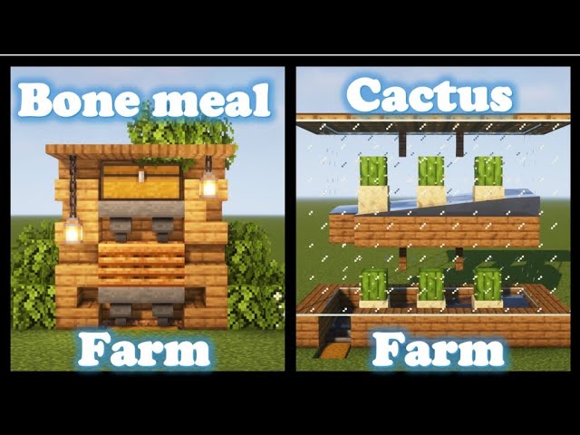 can you bone meal cactus