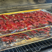 beef jerky smoker recipe