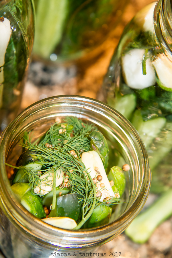 pickle recipe kosher