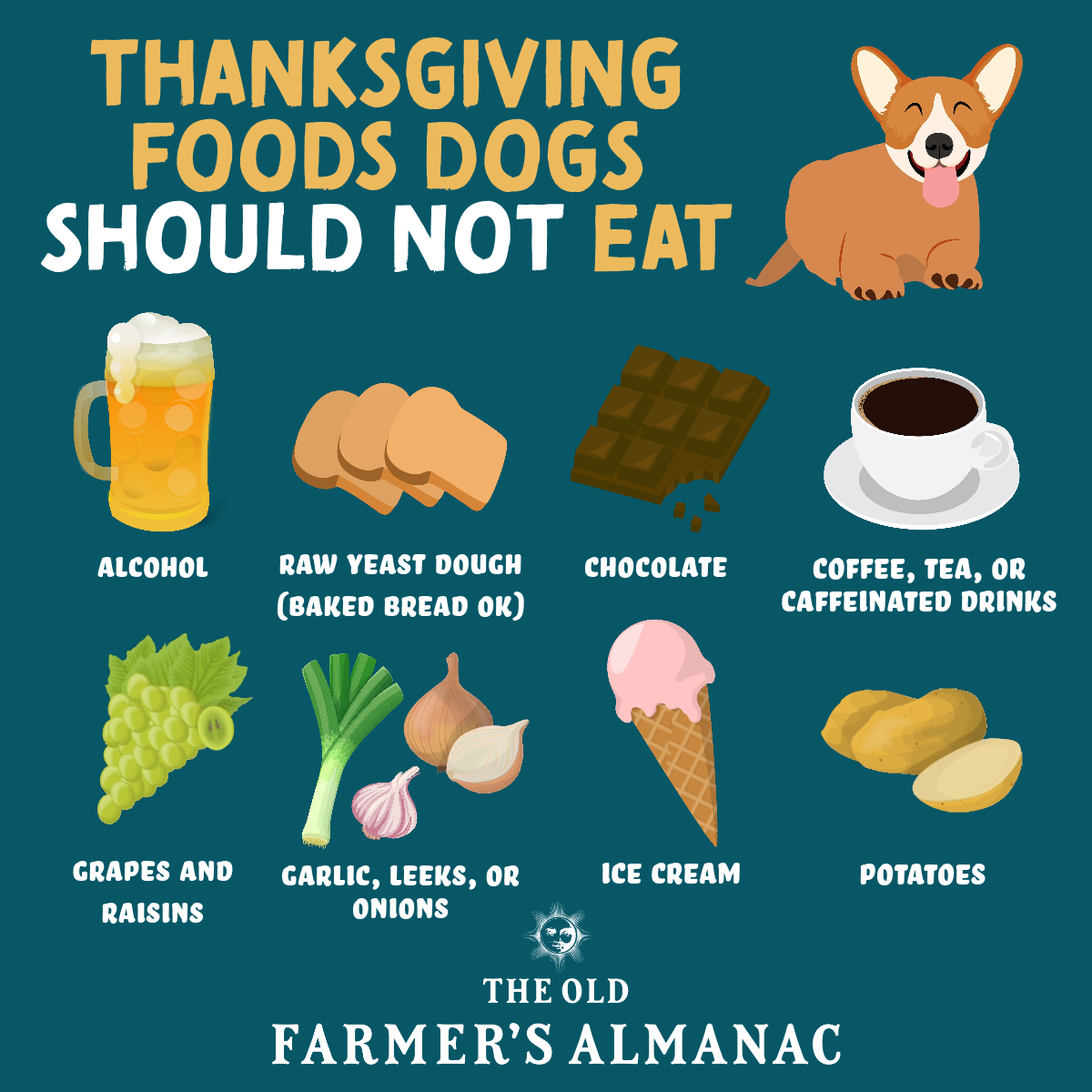 thanksgiving meals for dogs