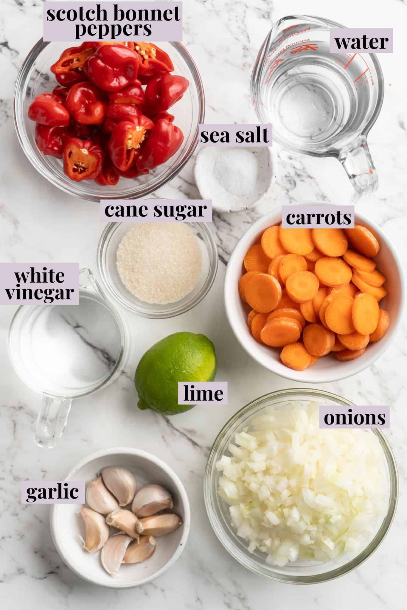scotch bonnet recipes