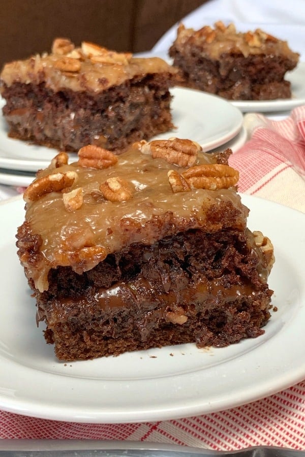 turtle cake recipe with cake mix
