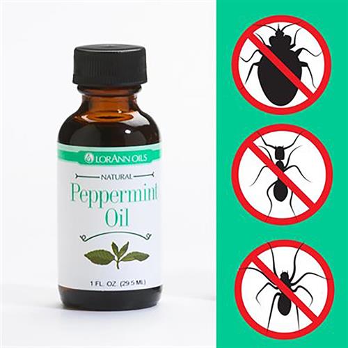 peppermint oil bug spray recipe
